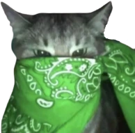 green_bandana_cat emote
