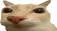 otag emote