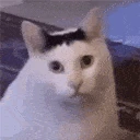 huh emote