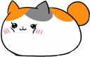 kitty emote