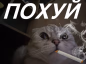 POHUI emote