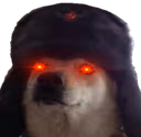 Doggo_Persecute emote