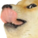 dogeLick emote
