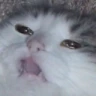 CE_Slumped2 emote