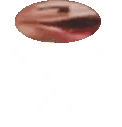 PagStickJAM emote