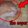 eeper emote