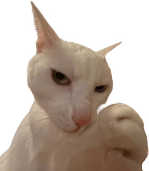 supbbg emote