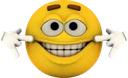 EmotiForcedSmile emote