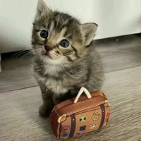 travelLuggage_Cat emote