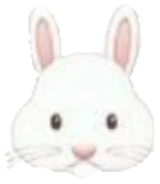 bunny emoji