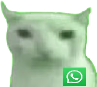 Whatsupbruhcat emote