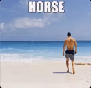 HORSE emote