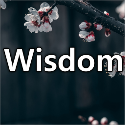 wisdom_entertainment avatar