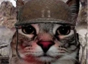 WAR emote