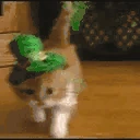 gl emote