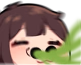 elisSNIFF emote