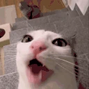 cronch emote