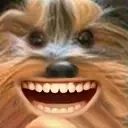 LULUBB emote