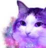 kiisu_galaxy emote