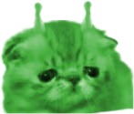 glupid emote