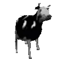 PolishCow emote