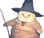 magicFeline emote