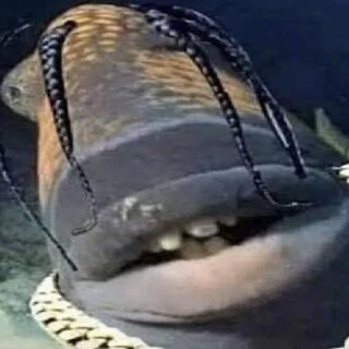 trafish_scott emote