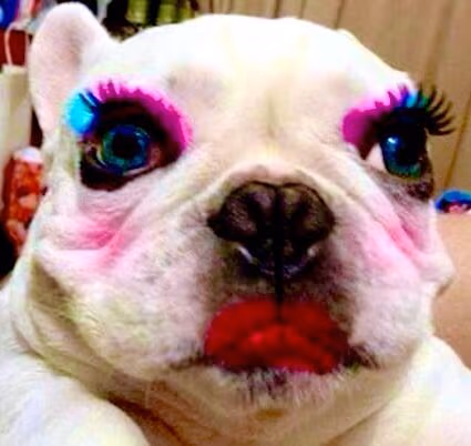 doggydiva emote
