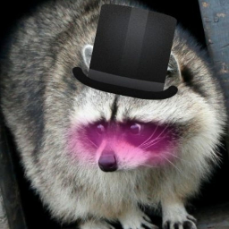 fazbear_trash_panda avatar