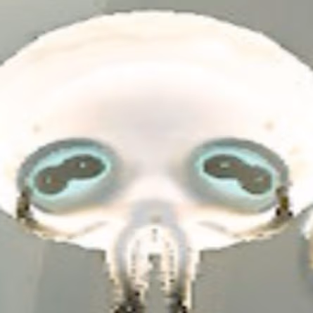 SmushedSmollusk emote
