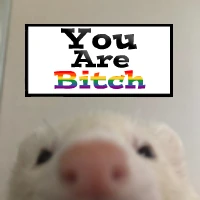rat_youarebitch emoji