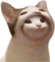 catInCat emote