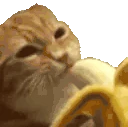 Cateatinbananahehappy emote