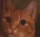 Wink emote
