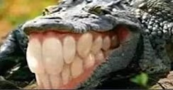 xdddd emote