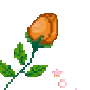RoseOrange emote