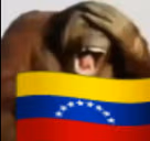 Venezuela emote