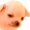 SadgeDoge emote