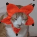 notSoSilly emoji