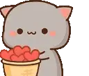 CatLove emote
