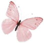 Pink_butterfly emote