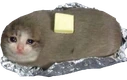 buttercat emote
