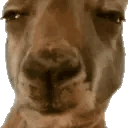 Interesting emote