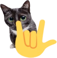 rockoncat emote