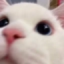 Hi emote