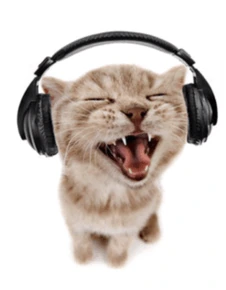 Cat_With_Headphones emote