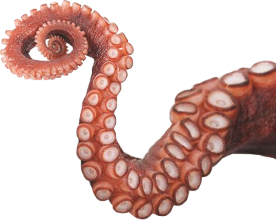 tentacle emote
