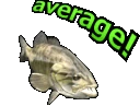 Average emote