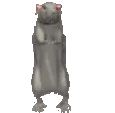 ratPls emoji
