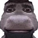 donkEy emote